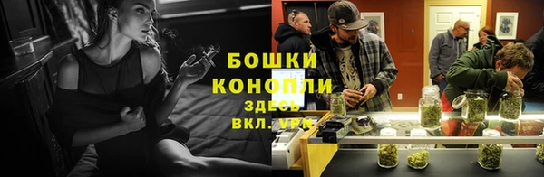 мяу мяу мука Гусиноозёрск