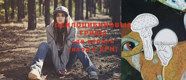 гашиш Гусев