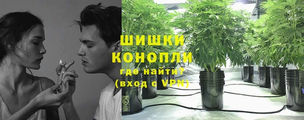 мяу мяу мука Гусиноозёрск
