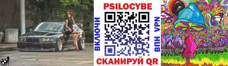 купить   Новотитаровская  mega рабочий сайт  Псилоцибиновые грибы Cubensis 