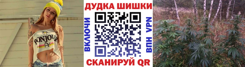 Каннабис план Новотитаровская